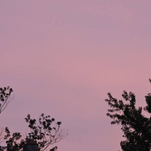 欧美色欧美亚洲高清在线视频
